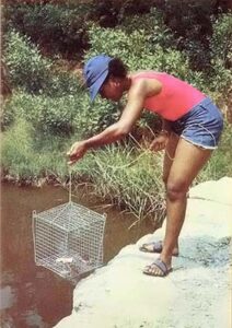 Catching Crabs Image